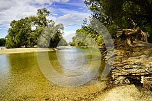 A late summer day at the floodplain of river Rhine. A tree trunk on the right side. Germany, Baden-Wuerttemberg