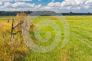 Late summer landscape in rural area