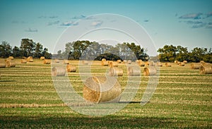 The late summer light shines on the hay bailes Hay bailes  in the feild against  ablue sky