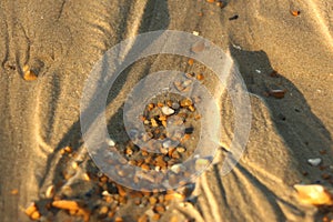 Late summer strolling over the sands on the beaches of Whitstable, Kent, UK taking in the sights and patterns in the sand made by