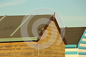 Late summer strolling over the sands on the beaches of Whitstable, Kent, UK taking in the sights and patterns in the sand made by