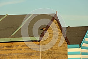 Late summer strolling over the sands on the beaches of Whitstable, Kent, UK taking in the sights and patterns in the sand made by