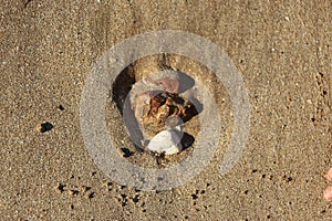 Late summer strolling over the sands on the beaches of Whitstable, Kent, UK taking in the sights and patterns in the sand made by