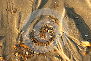 Late summer strolling over the sands on the beaches of Whitstable, Kent, UK taking in the sights and patterns in the sand made by