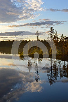 Late summers evening in Finland. HaltiajÃ¤rvi, Salla.