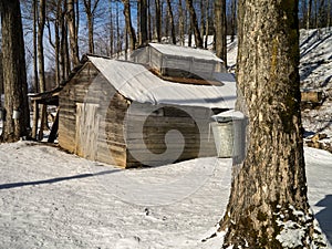 Maple Sugaring Season - Sugar House and Pails