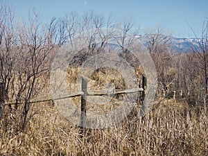 Late winter ranch fence with Grand Mesa in the distance