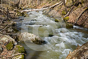 Late Winter View of Roaring Run Creek