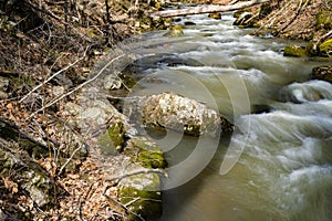 Late Winter View of Roaring Run Creek