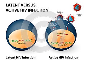 Latent and active HIV infection