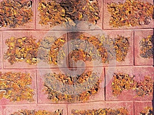 laterite iron for the wall