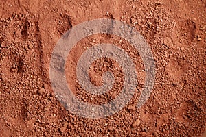 Laterite soil scene.