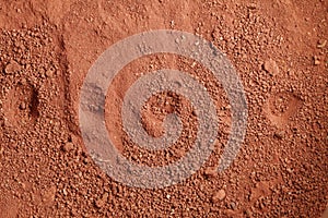 Laterite soil scene.