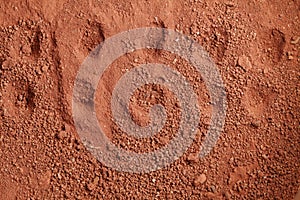 Laterite soil scene.