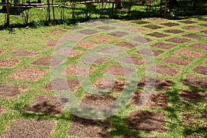 Laterite stone path on green grass photo