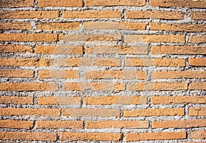 Lateritious brick wall