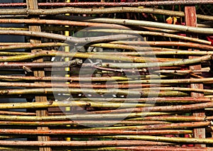 Lath fence of twigs