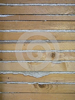 Lath and Plaster photo