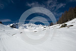 LaThuile, Snow, trees and slopes
