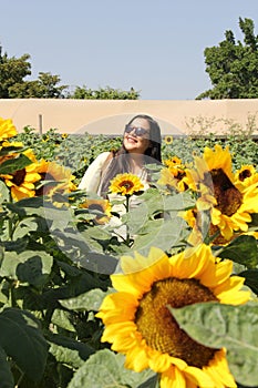 Latin adult woman with sunglasses walks through a field of sunflowers forgets her problems full of happiness in fullness, with tra