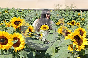 Latin adult woman with sunglasses walks through a field of sunflowers forgets her problems full of happiness in fullness, with tra