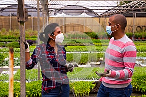 Latin american gardeners in masks talking in greenhouse