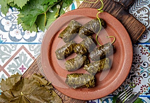 Latin American Mexican Chilean cuisine. Ninos envueltos. Grape leaves stuffed wish meat on clay plate photo