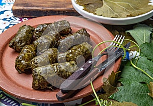 Latin American Mexican Chilean cuisine. Ninos envueltos. Grape leaves stuffed wish meat on clay plate photo