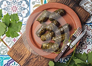 Latin American Mexican Chilean cuisine. Ninos envueltos. Grape leaves stuffed wish meat on clay plate photo