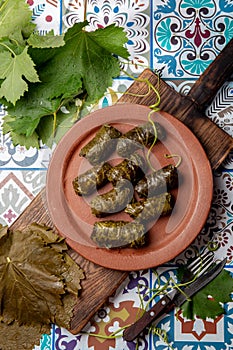 Latin American Mexican Chilean cuisine. Ninos envueltos. Grape leaves stuffed wish meat on clay plate photo