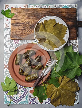 Latin American Mexican Chilean cuisine. Ninos envueltos. Grape leaves stuffed wish meat on clay plate photo