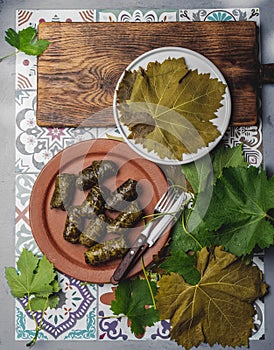 Latin American Mexican Chilean cuisine. Ninos envueltos. Grape leaves stuffed wish meat on clay plate photo