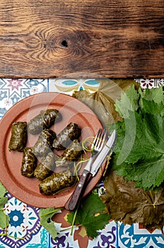 Latin American Mexican Chilean cuisine. Ninos envueltos. Grape leaves stuffed wish meat on clay plate photo