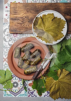 Latin American Mexican Chilean cuisine. Ninos envueltos. Grape leaves stuffed wish meat on clay plate photo