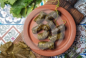 Latin American Mexican Chilean cuisine. Ninos envueltos. Grape leaves stuffed wish meat on clay plate photo