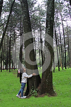 Latin brunette girl hugs a tree in the forest concerned about nature and taking care of the planet from climate change and polluti