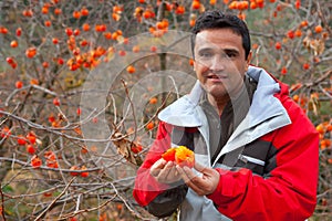 Latin farmer in autumn with persimmon fruits photo