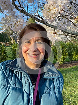 Latina Woman and white cherry Blossoms at Kenwood photo