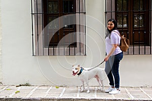 Latino adult woman walking down a cobblestone street with colonial style windows accompanied by her white pitbull dog