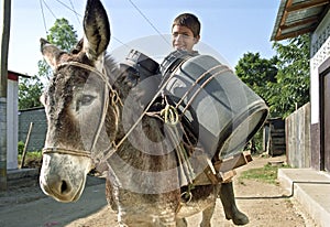 Latino Boy transports water on Donkey