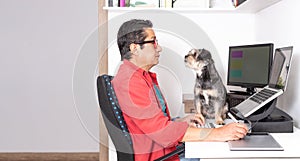 Latino freelancer man working on his computer with external monitor and graphic tablet while his dog watches him attentively.