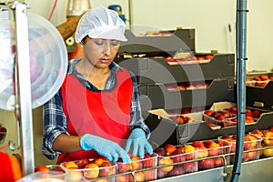 Latino woman sorts peaches on a fruit packing line