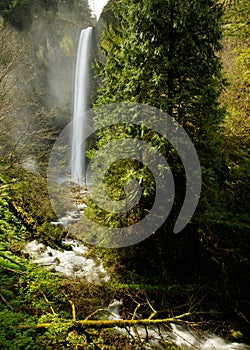 Latourell Falls in the Columbia River gorge, in Oregon, USA