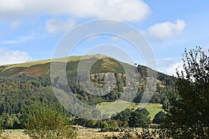 Latrigg near Keswick seen over fields