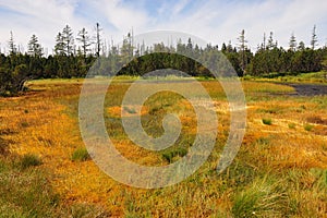Latschensee in Bavaria