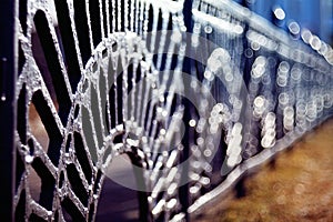 Lattice fence forged beautiful