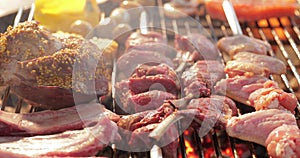 On a lattice a grill pickled meat, ribs spread, sausages, a stake, naked flame, red coals, a smoke, firewood, hands of