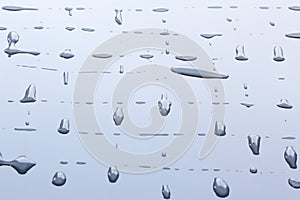 The lattice of water drops. Pattern.