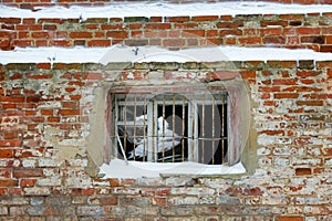 Lattice on a window of the destroyed house