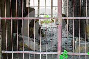 Lattices with lock in a closed passage in the fortress